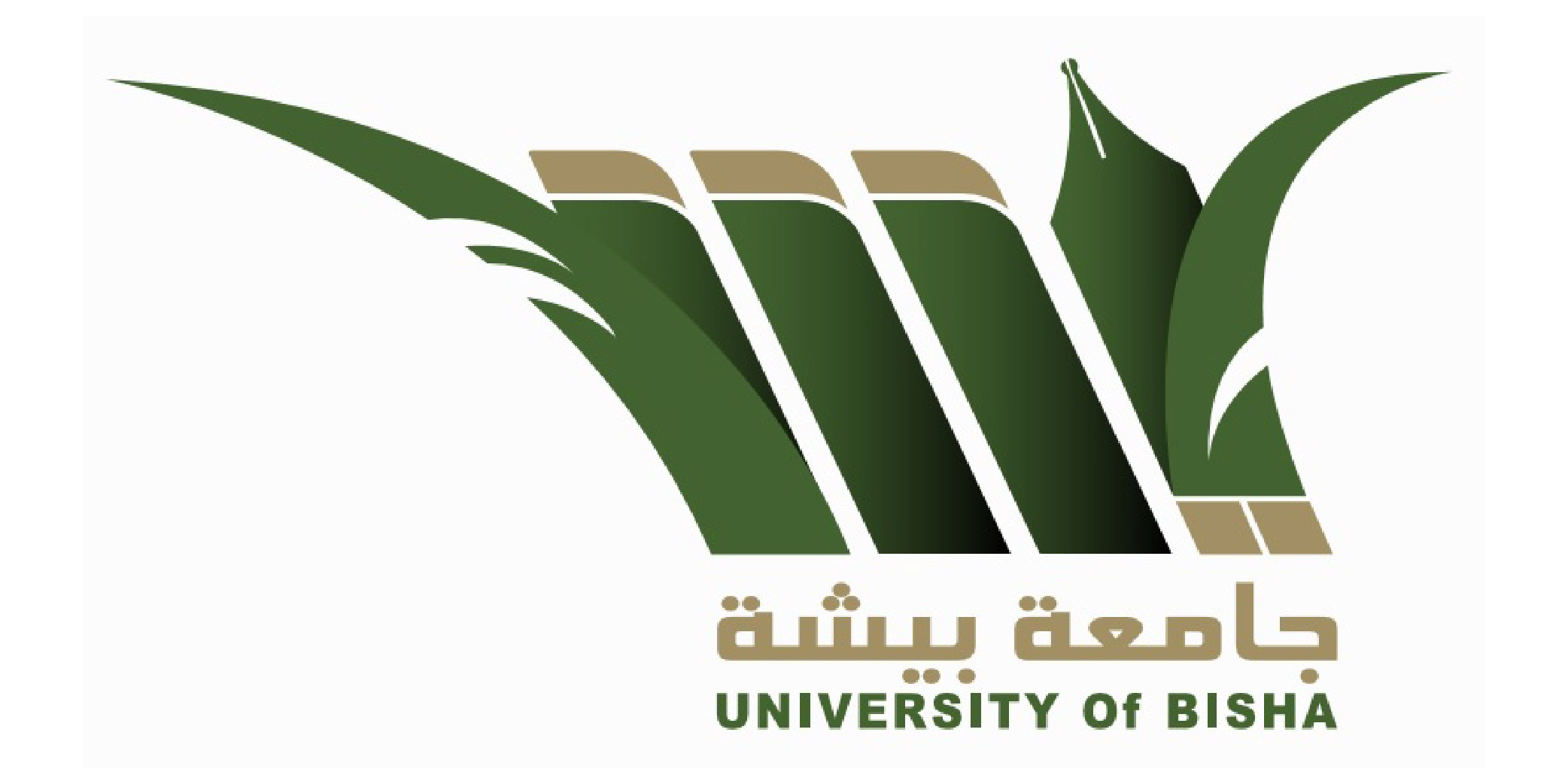 جامعة بيشة